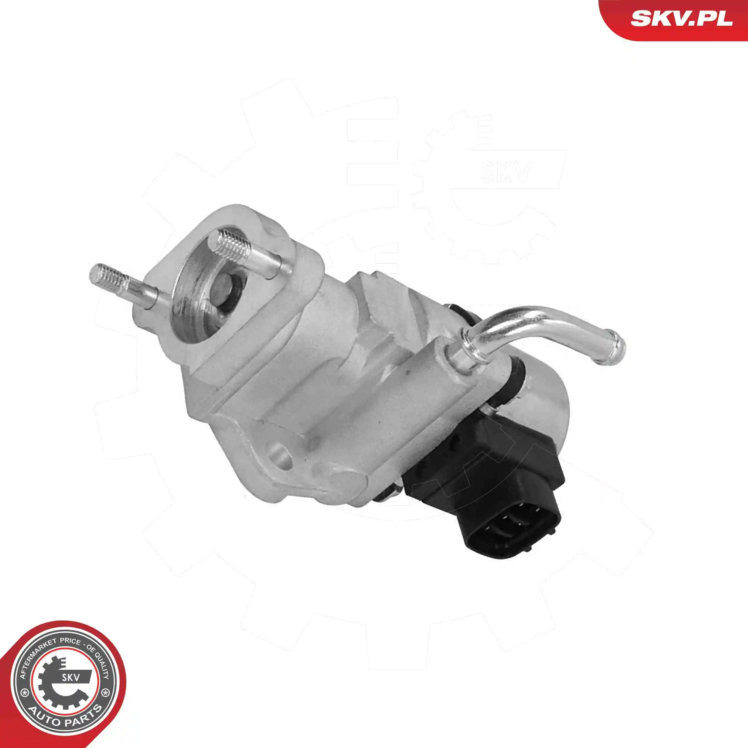 EGR Valve